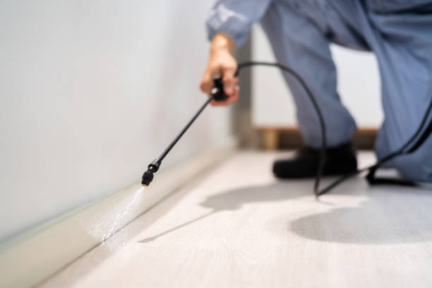 Professional exterminator conducting IPM assessment in Bountiful
